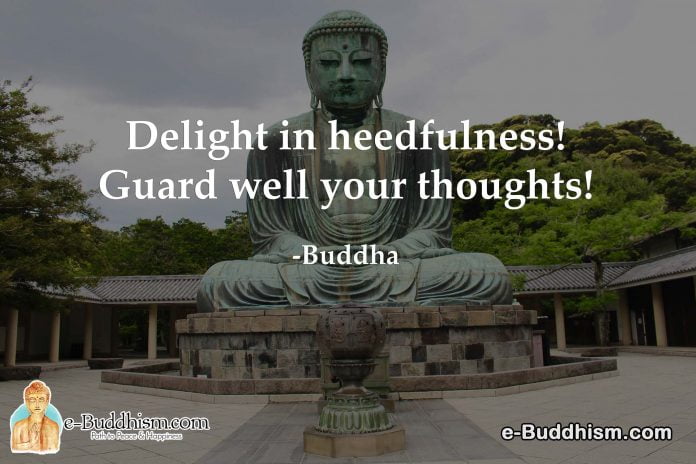Delight in heedfulness! Guard well your thoughts! - Buddha