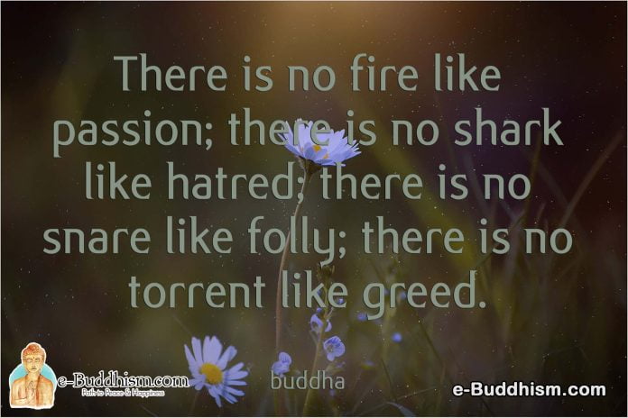 There is no fire like passion; there is no shark like hatred; there is no snare like folly; there is no torrent like greed. -Buddha