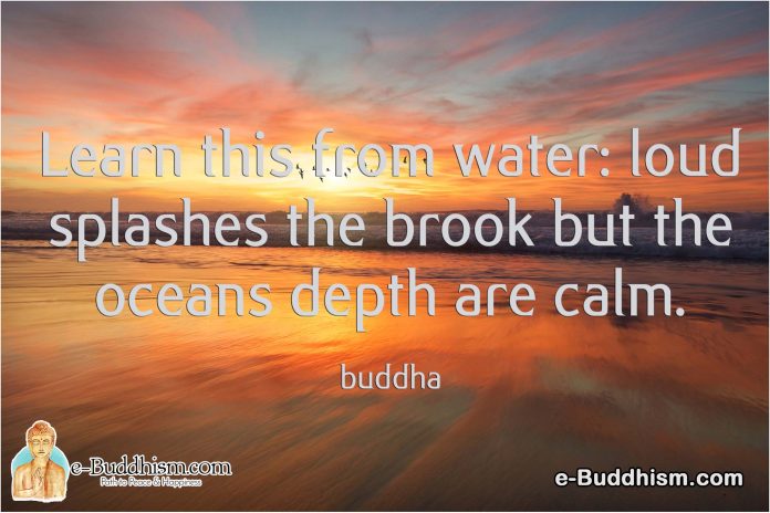 Learn this from water; loud splashes the brook but the depth of the ocean is calm. -Buddha