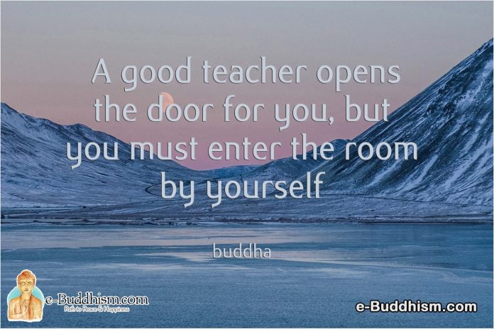 A good teacher opens the door for you, but you must enter the room by yourself. -Buddha