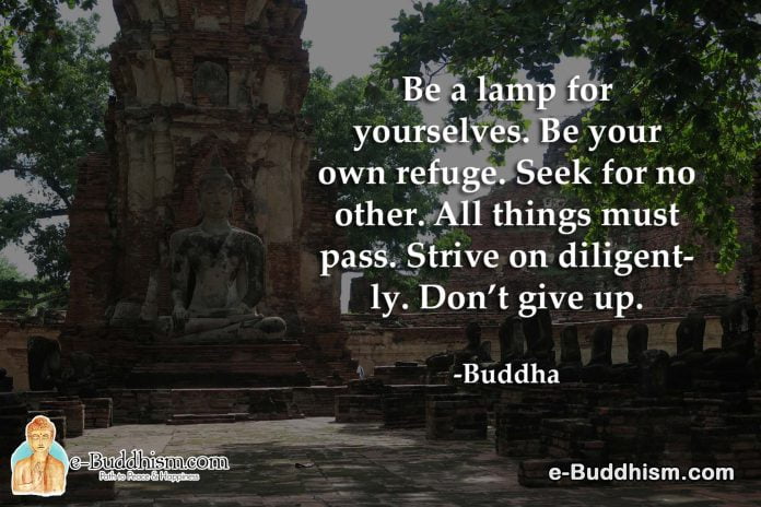 Be a lamp for yourselves. Be your own refuge. Seek for no other. All must pass. Strive diligently. Don't give up -Buddha