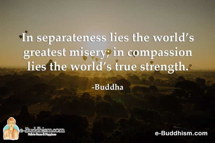In separateness lies the world's greatest misery; in compassion lies the world's true strength. -Buddha