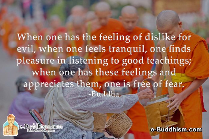 When one has the feeling of dislike for evil, when one feels tranquil, one finds pleasure in listening to good teachings; when one has these feelings and appreciates them, one is free of fear. -Buddha