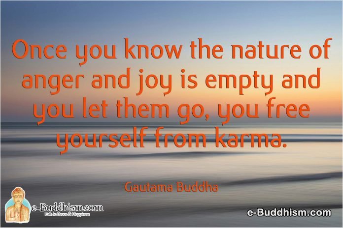 Once you know the nature of anger and joy is empty and you let them go, you free yourself from karma. -Buddha