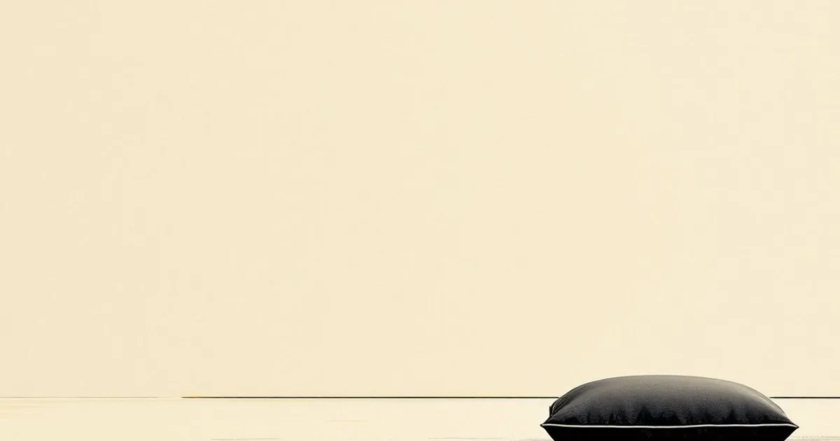 Sumi-e ink-wash illustration: a bare room with a single dark cushion set facing a blank wall.