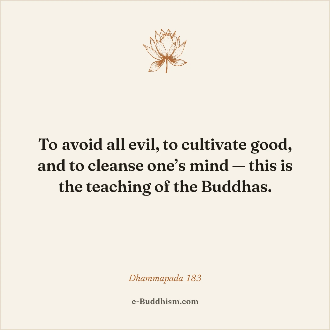 Shareable quote card: 'To avoid all evil, to cultivate good, and to cleanse one's mind — this is the teaching of the Buddhas.' — Dhammapada 183.