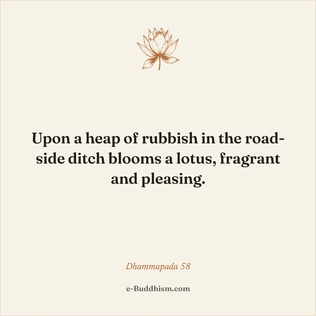 Shareable quote card: 'Upon a heap of rubbish in the road-side ditch blooms a lotus, fragrant and pleasing.' — Dhammapada 58.