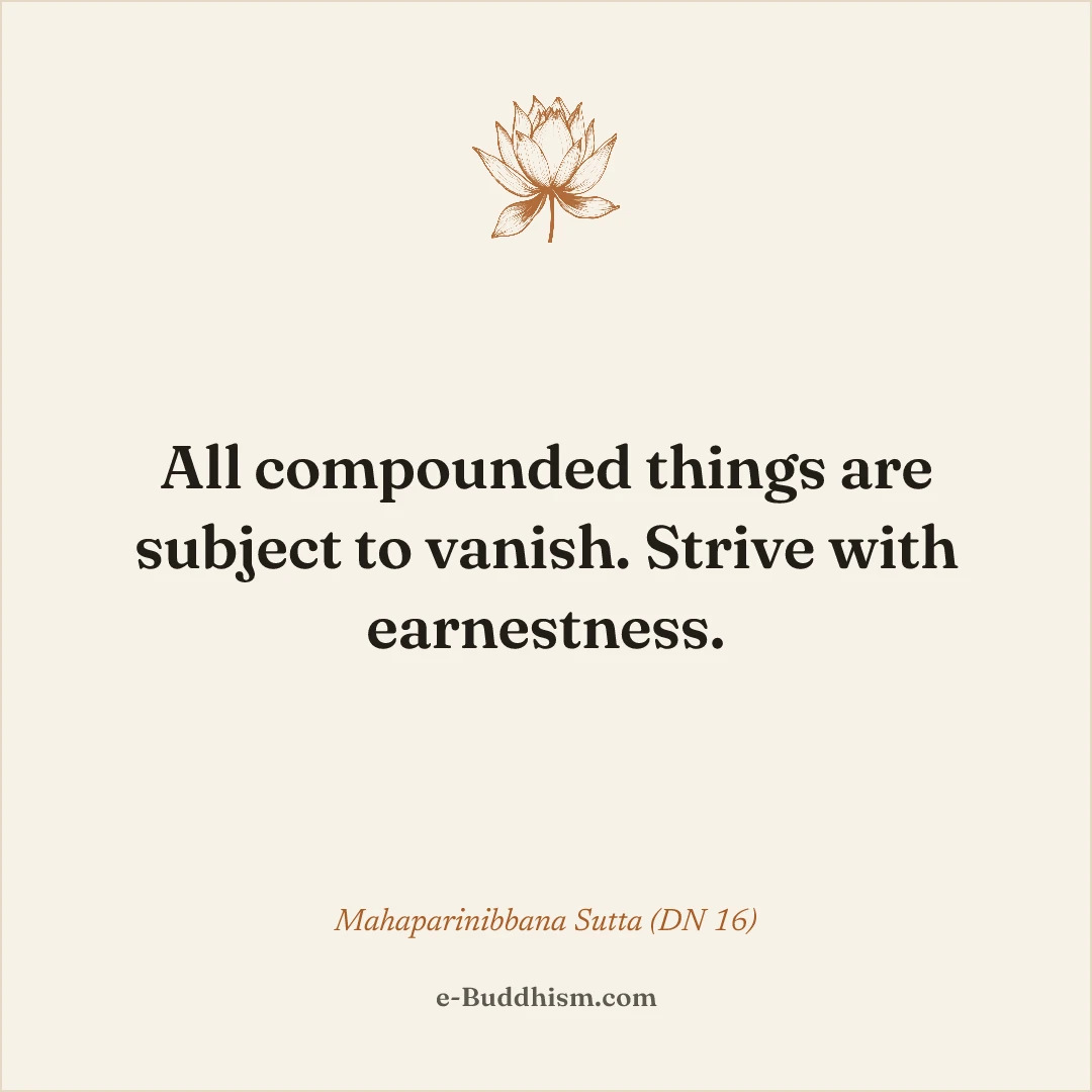 Shareable quote card: 'All compounded things are subject to vanish. Strive with earnestness.' — the Buddha's last words (DN 16).