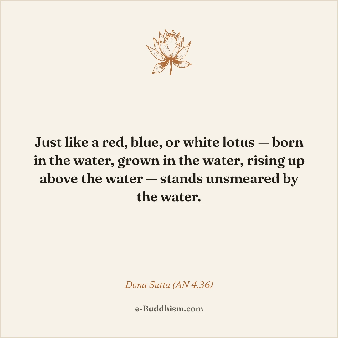 Shareable quote card: 'Just like a red, blue, or white lotus — born in the water, grown in the water, rising up above the water — stands unsmeared by the water.' — Doṇa Sutta (AN 4.36).