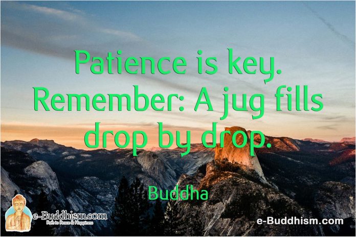 Patience is key. Remember: A jug fills drop by drop. -Buddha