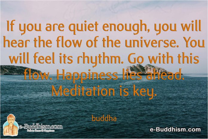 If you are quiet enough, you will hear the flow of the universe. You will feel its rhythm. Go with this flow. Happiness lies ahead. Mediation is key. -Buddha