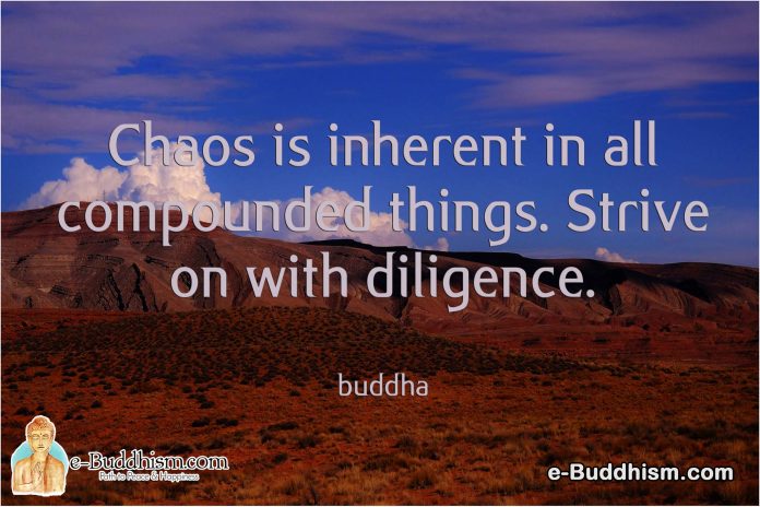Chaos is inherent in all compounded things. Strive on with diligence. -Buddha