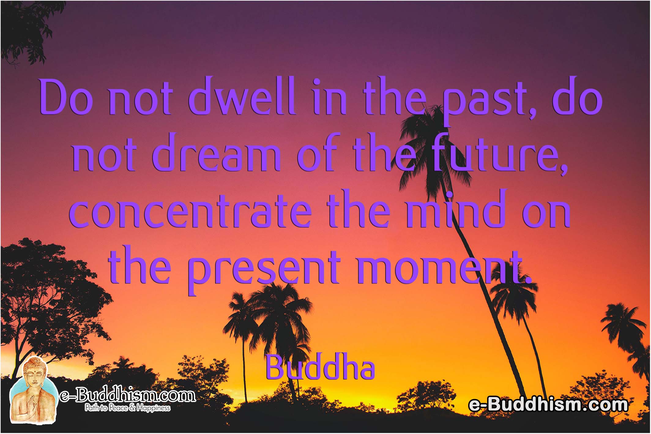 Do not dwell in the past, do not dream of the future, and concentrate the mind on the present moment. -Buddha