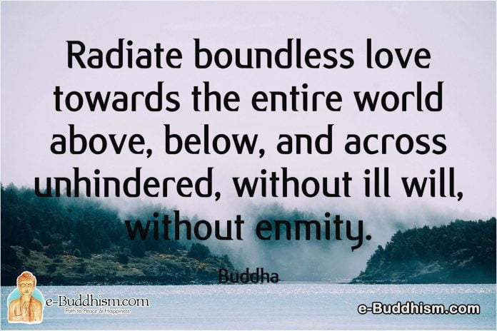 Radiate boundless love towards the entire world above, below, and across unhindered, without ill will, without enmity. -Buddha