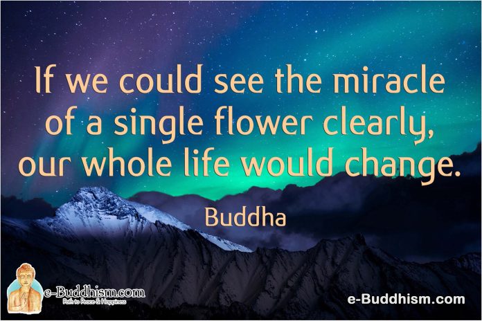 If we could see the miracle of a single flower clearly, our whole life would change. -Buddha