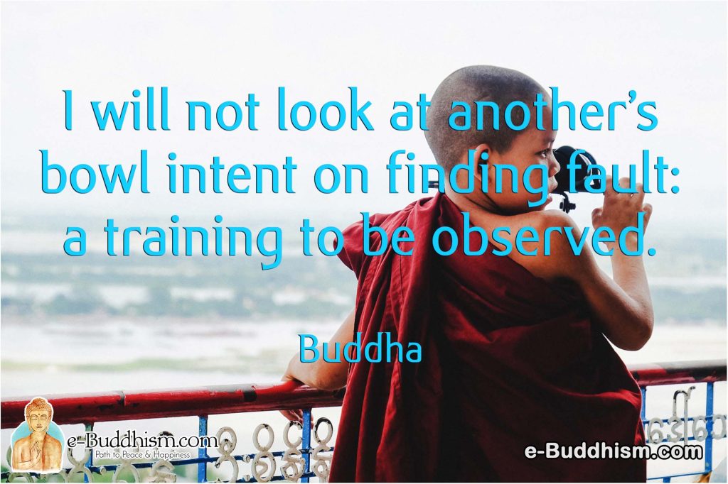 I will not look at another bowl intent on finding fault: a training to be observed. -Buddha
