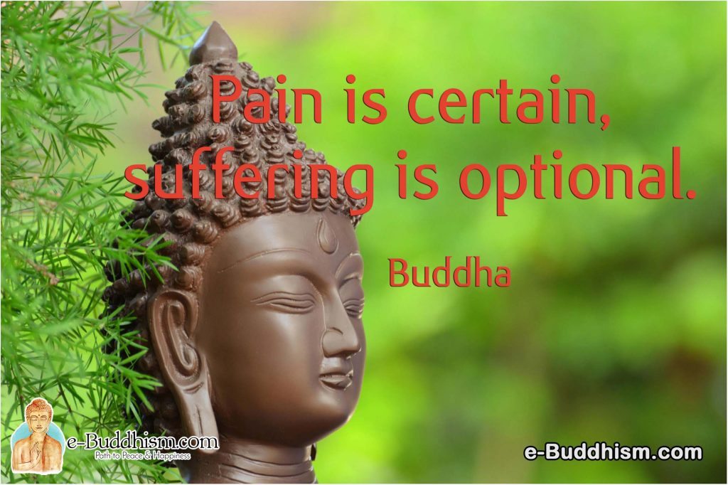 Pain is certain suffering is optional. -Buddha