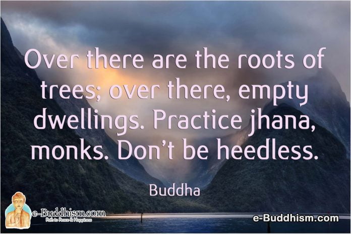 Over there are the roots of trees; over there, empty dwellings. Practice jhana, monks. Don't be heedless. -Buddha
