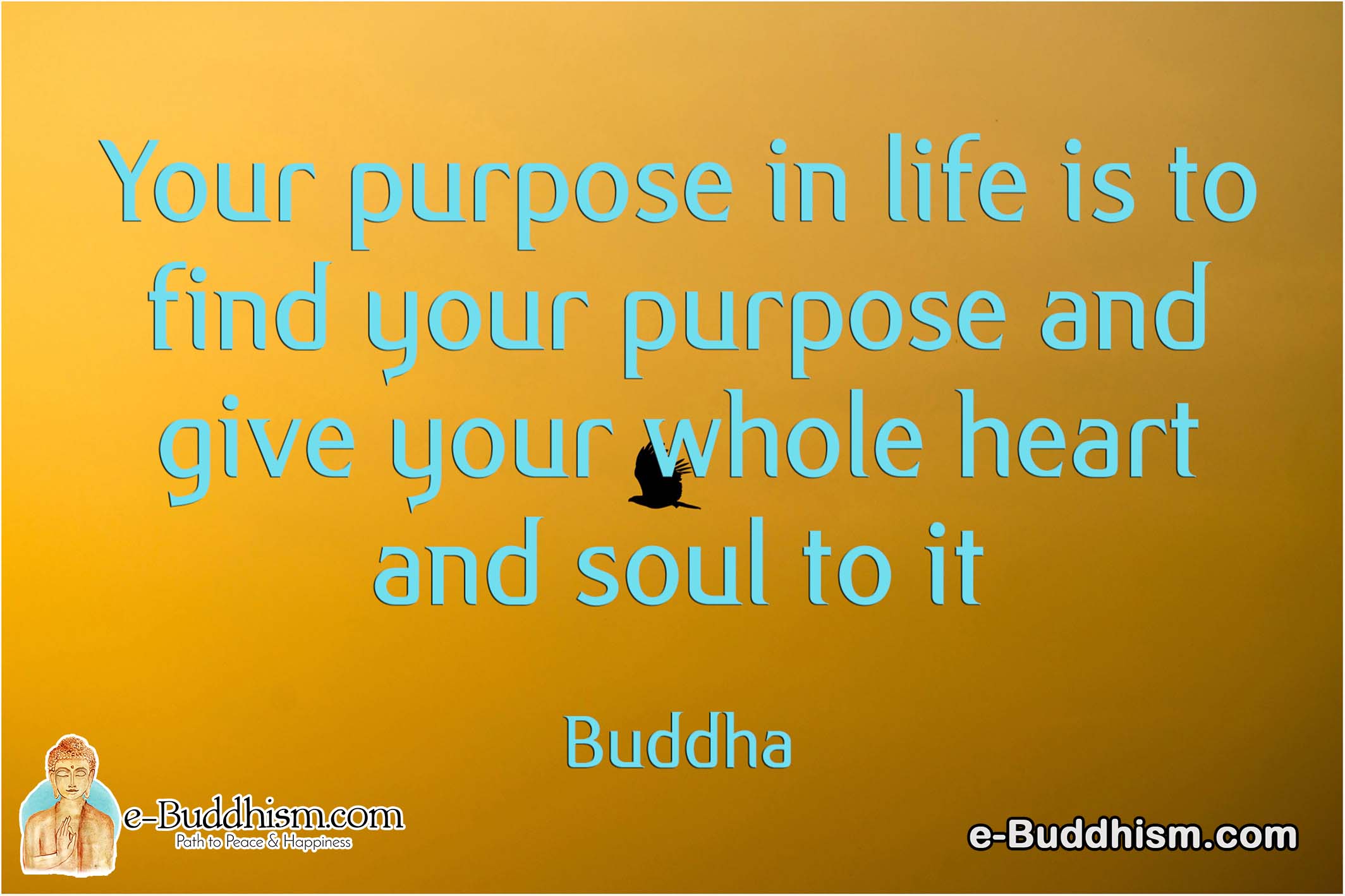 Your purpose in life is to find your purpose and give your whole heart and soul to it. -Buddha