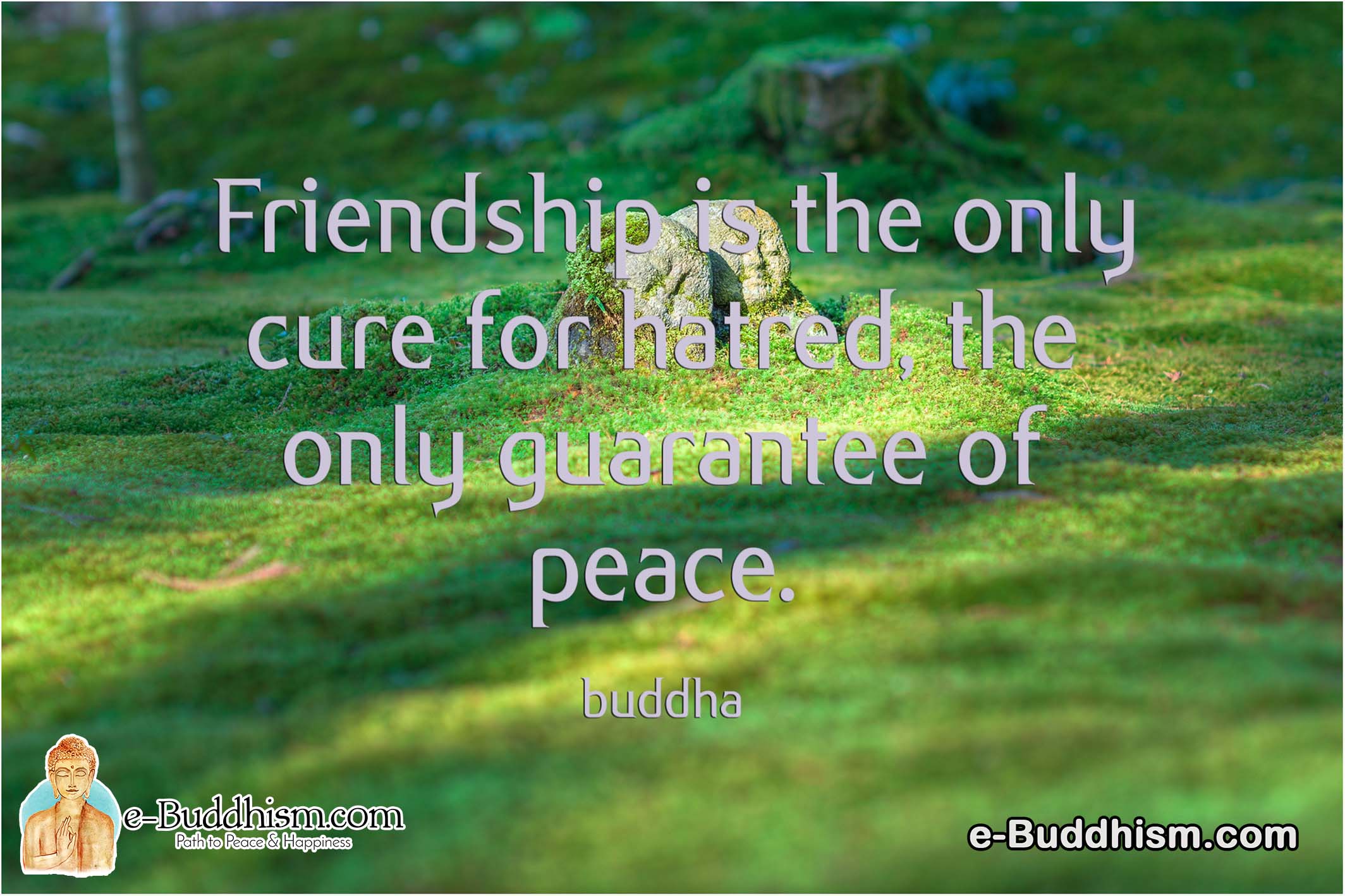 Friendship is the only cure for hatred the only guarantee of peace. -Buddha