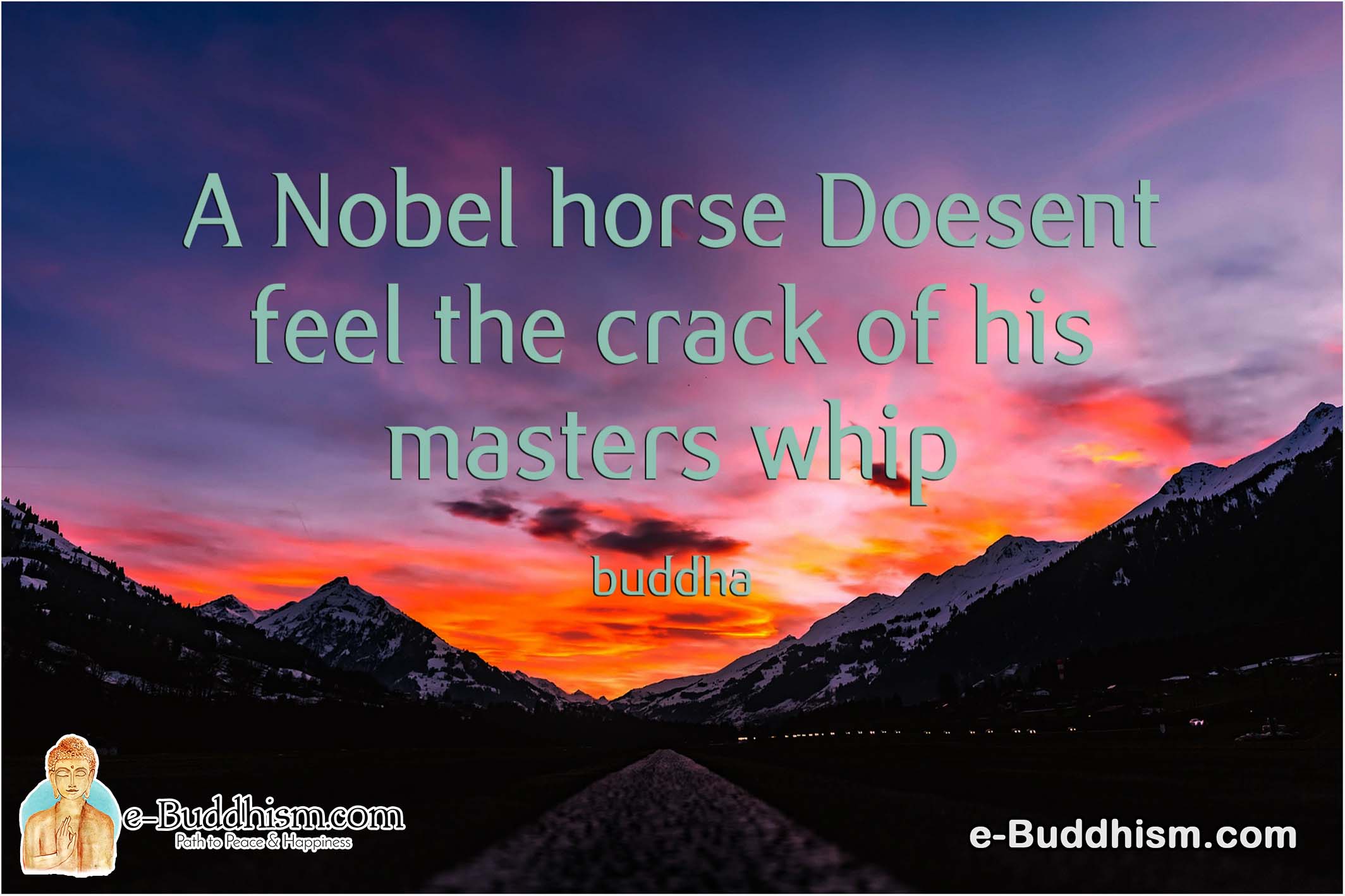 A noble horse doesn't feel the cracks of his master whip. -Buddha