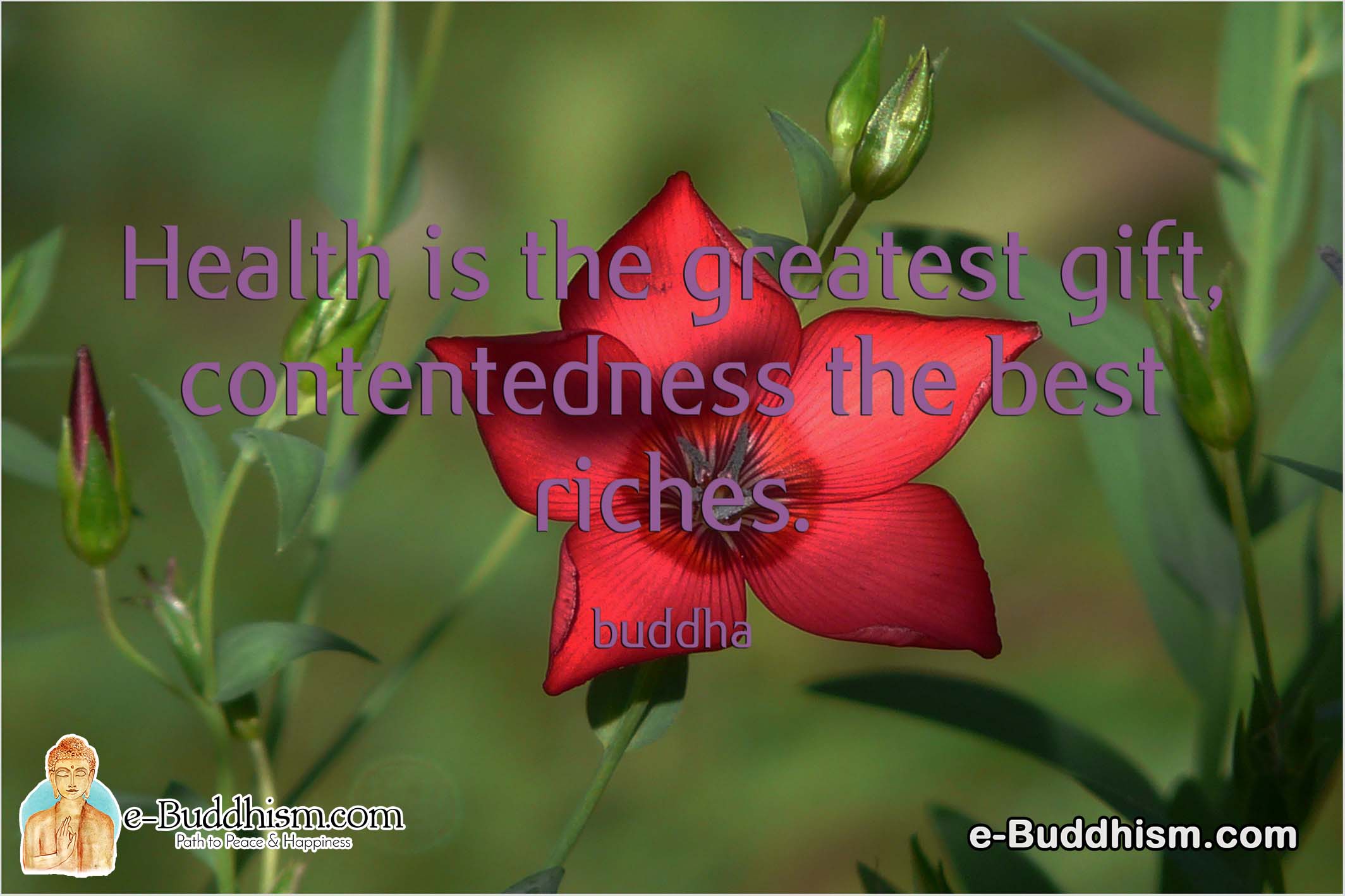 Health is the greatest gift contentedness is the best riches. -Buddha