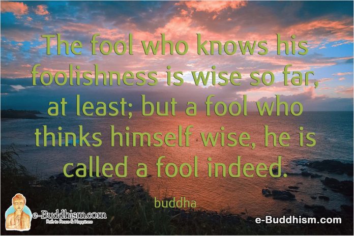 The fool who knows his foolishness is wise so far, at least; but a fool who thinks himself wise is called a fool indeed. -Buddha