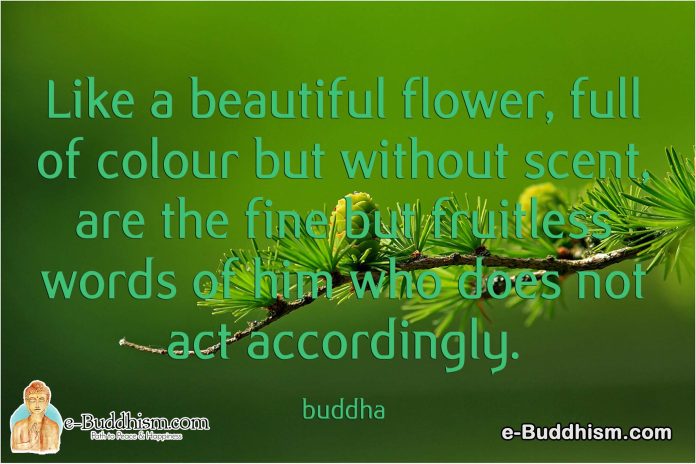 Like a beautiful flower, full of colour but without scent, are the fine but fruitless, words of him who does not act accordingly. -Buddha