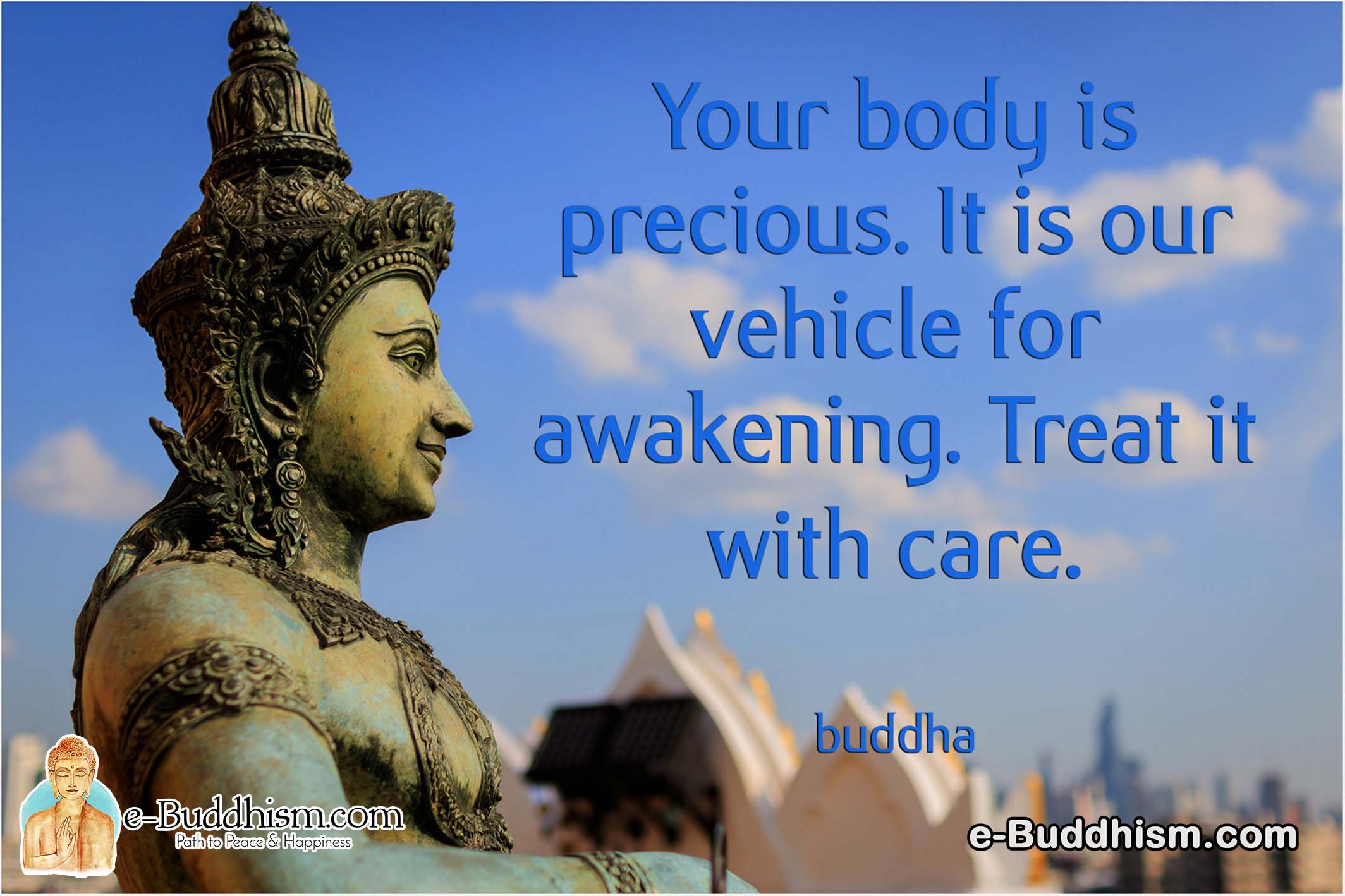 Your body is precious. It is our vehicle for awakening. Treat it with care. -Buddha
