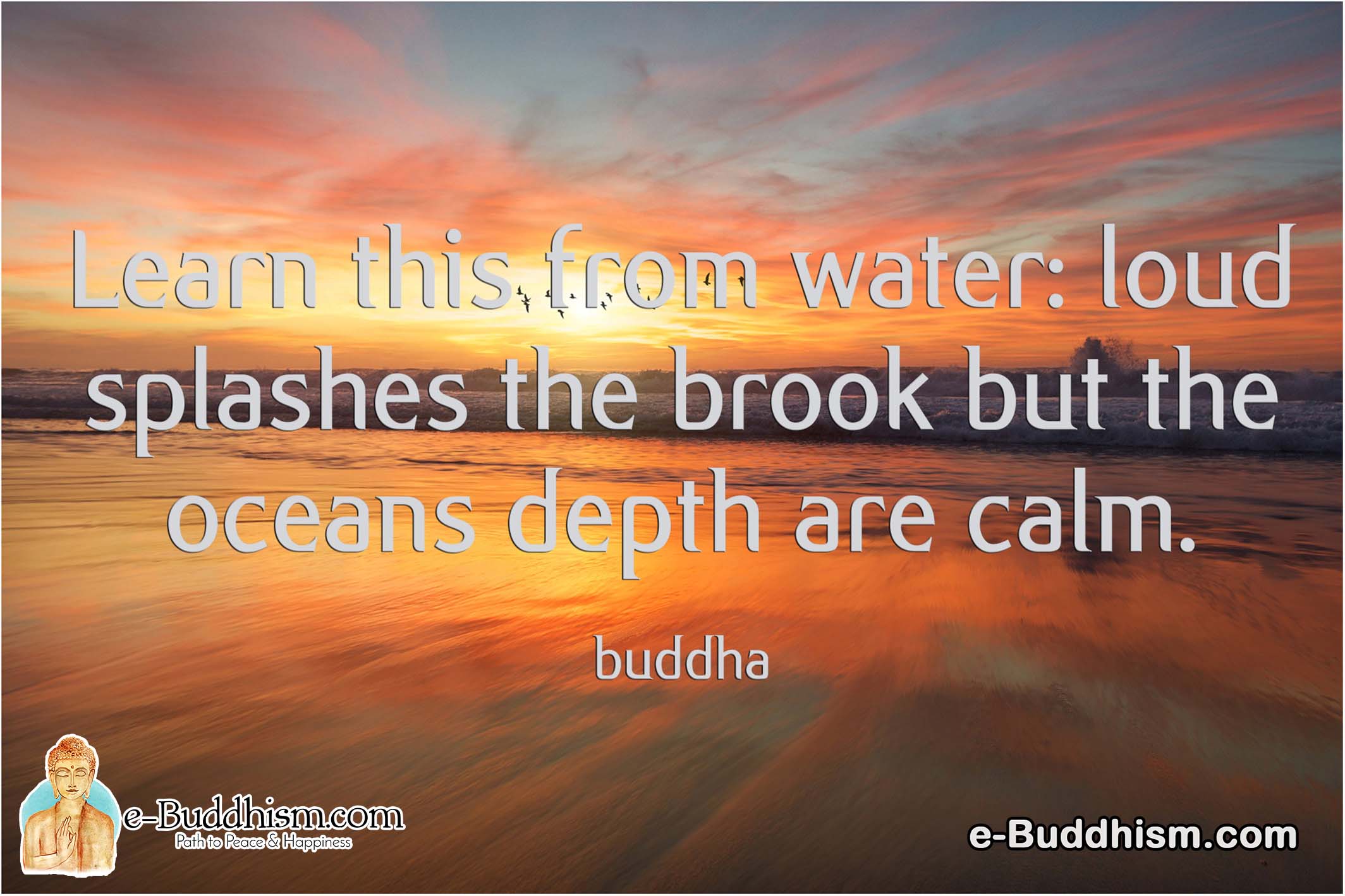 Learn this from water; loud splashes the brook but the depth of the ocean is calm. -Buddha