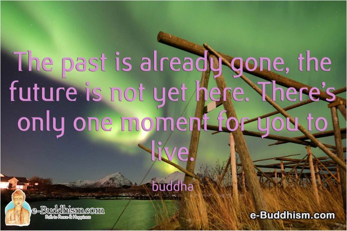 The past is already gone, and the future is not yet here. There's only one moment for you to live. -Buddha