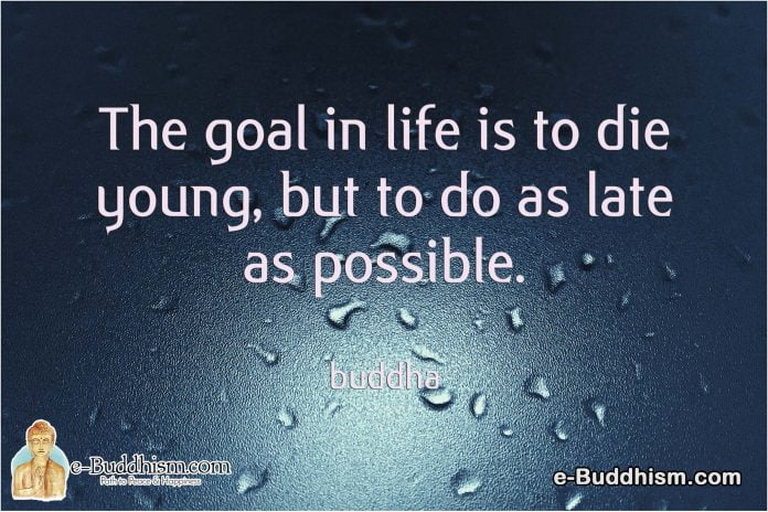 The goal in life is to die young but to do it as late as possible. -Buddha