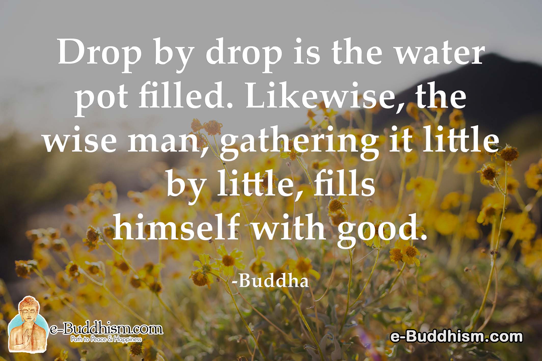 Drop by drop is the water pot filled. Likewise, the wise man, gathering it little by little. fills himself with good. - Buddha