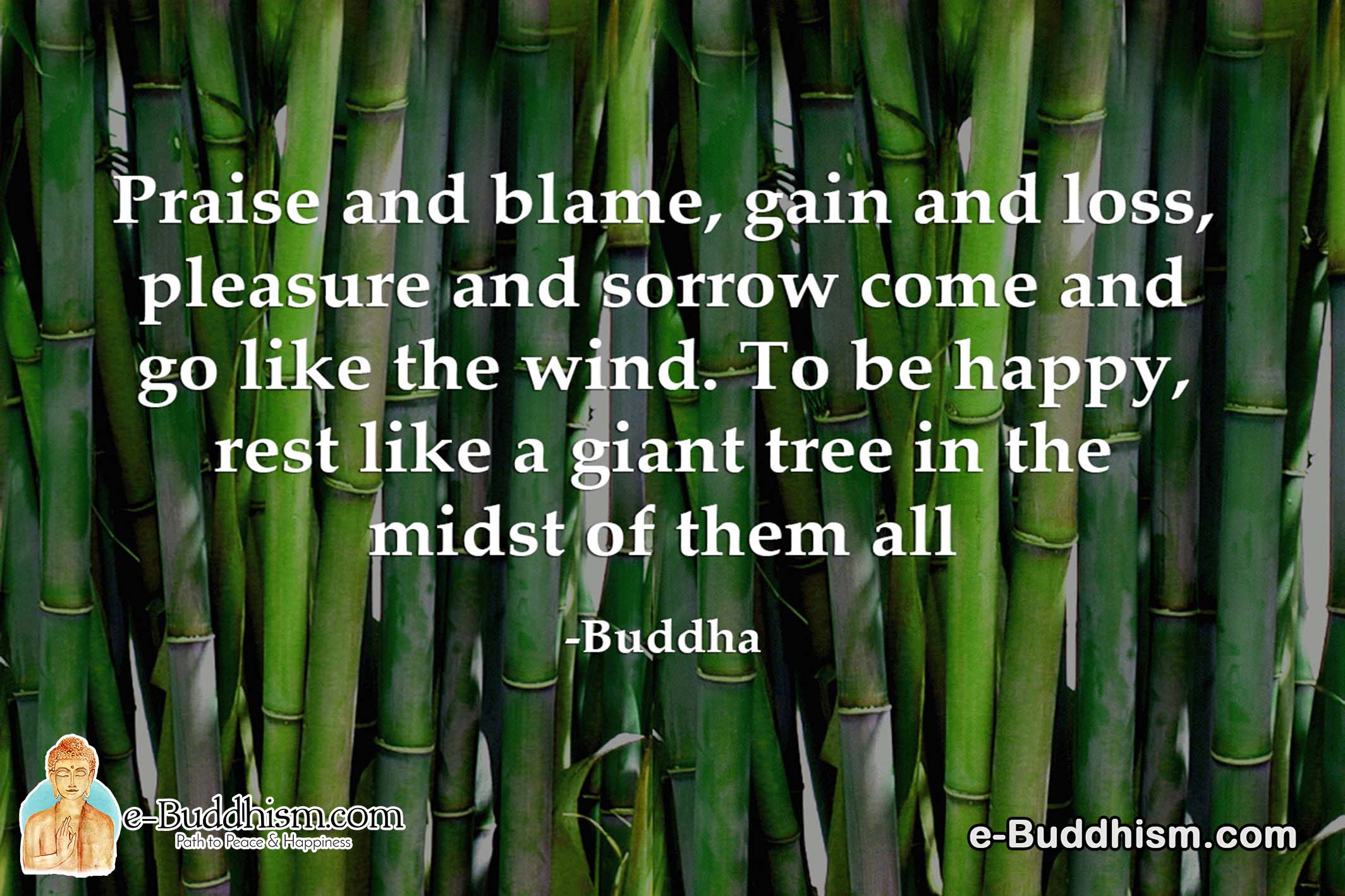Praise and blame, gain and loss, pleasure and sorrow come and go like the wind. To be happy, rest like a giant tree in the midst of them all. -Buddha