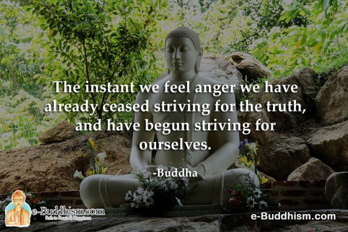 The instant we feel anger we have already ceased thriving for the truth, and have begun striving for ourselves - Buddha
