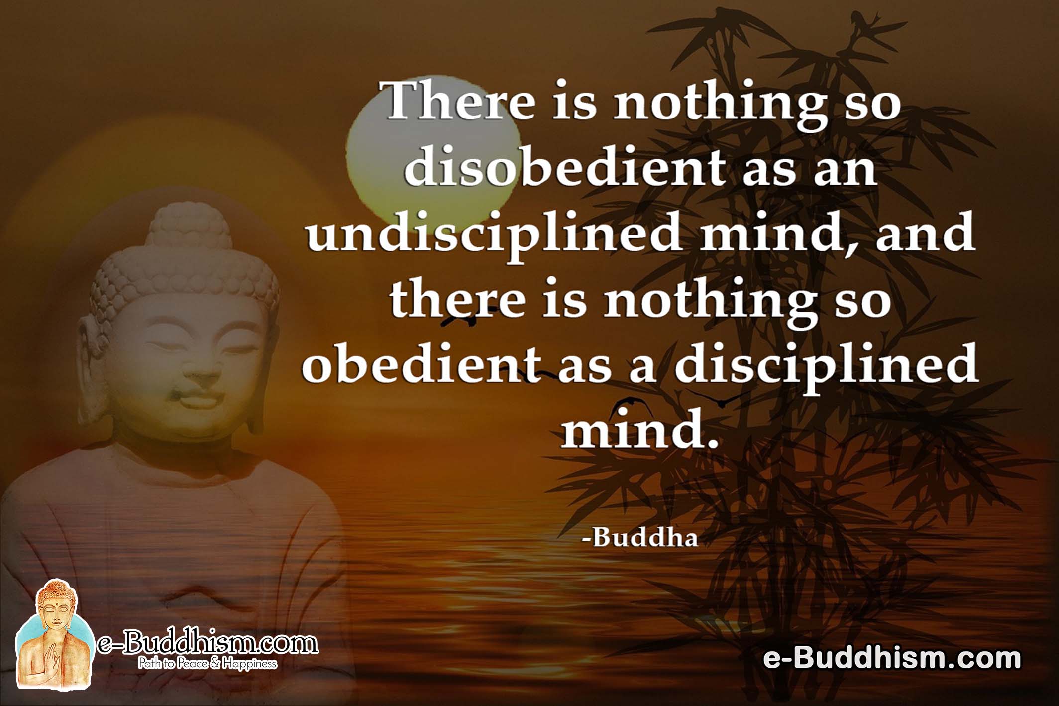 There is nothing so disobedient as an undisciplined mind, and there is nothing so obedient as a disciplined mind. -Buddha