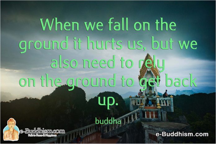 When we fall on the ground it hurts us, but we also need to rely on the ground to get back up. -Buddha