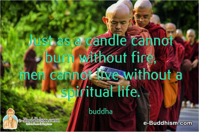 Just as a candle cannot burn without fire, men cannot live without a spiritual life. -Buddha