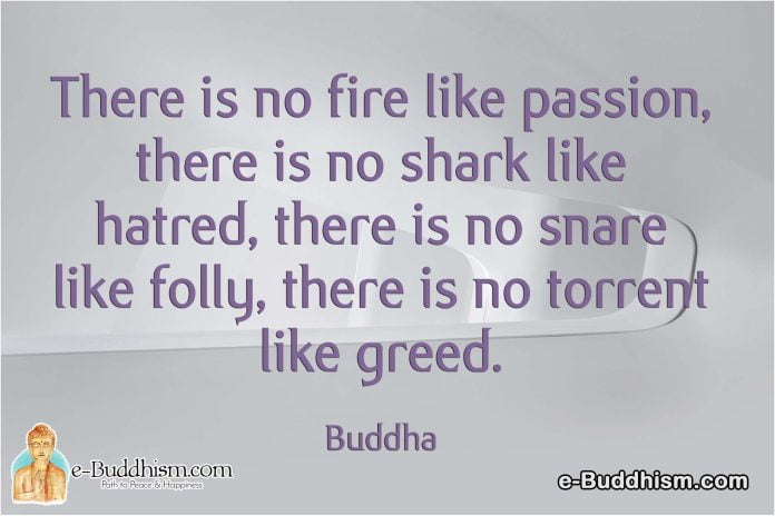 There is no fire like passion, there is no shark-like hatred, there is no snare like folly, and there is no torrent like greed. -Buddha
