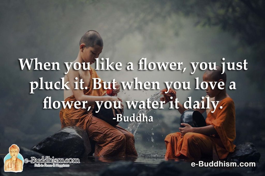 When you like a flower, you just pluck it. But when you love a flower, you water it daily. -Buddha