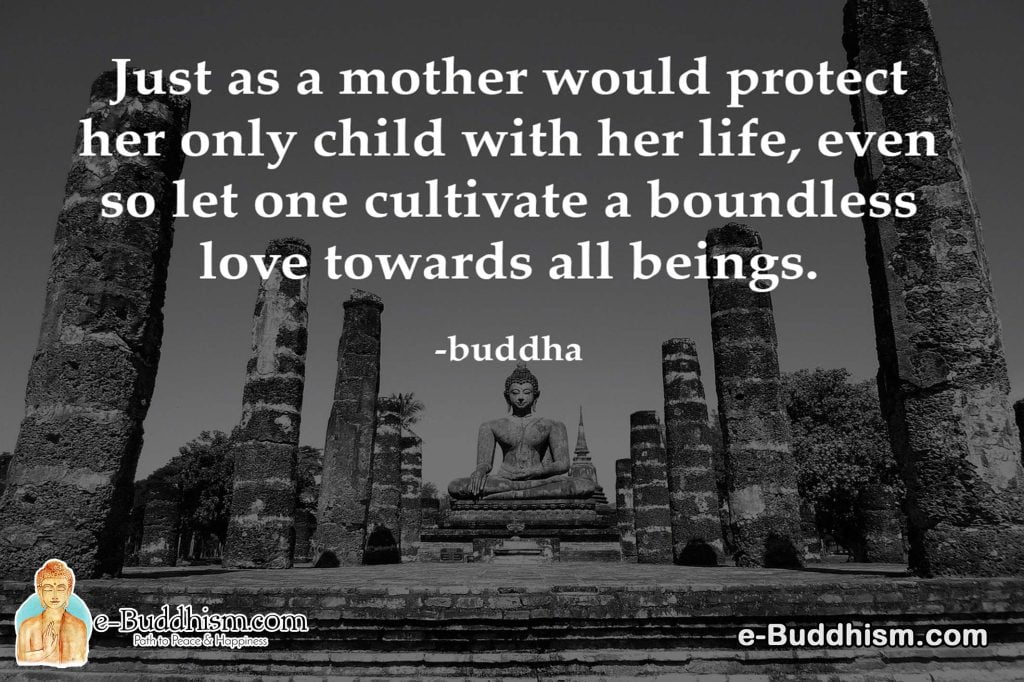 Just as a mother would protect her only child with her life, even so, let one cultivate a boundless love towards all beings. -Buddha