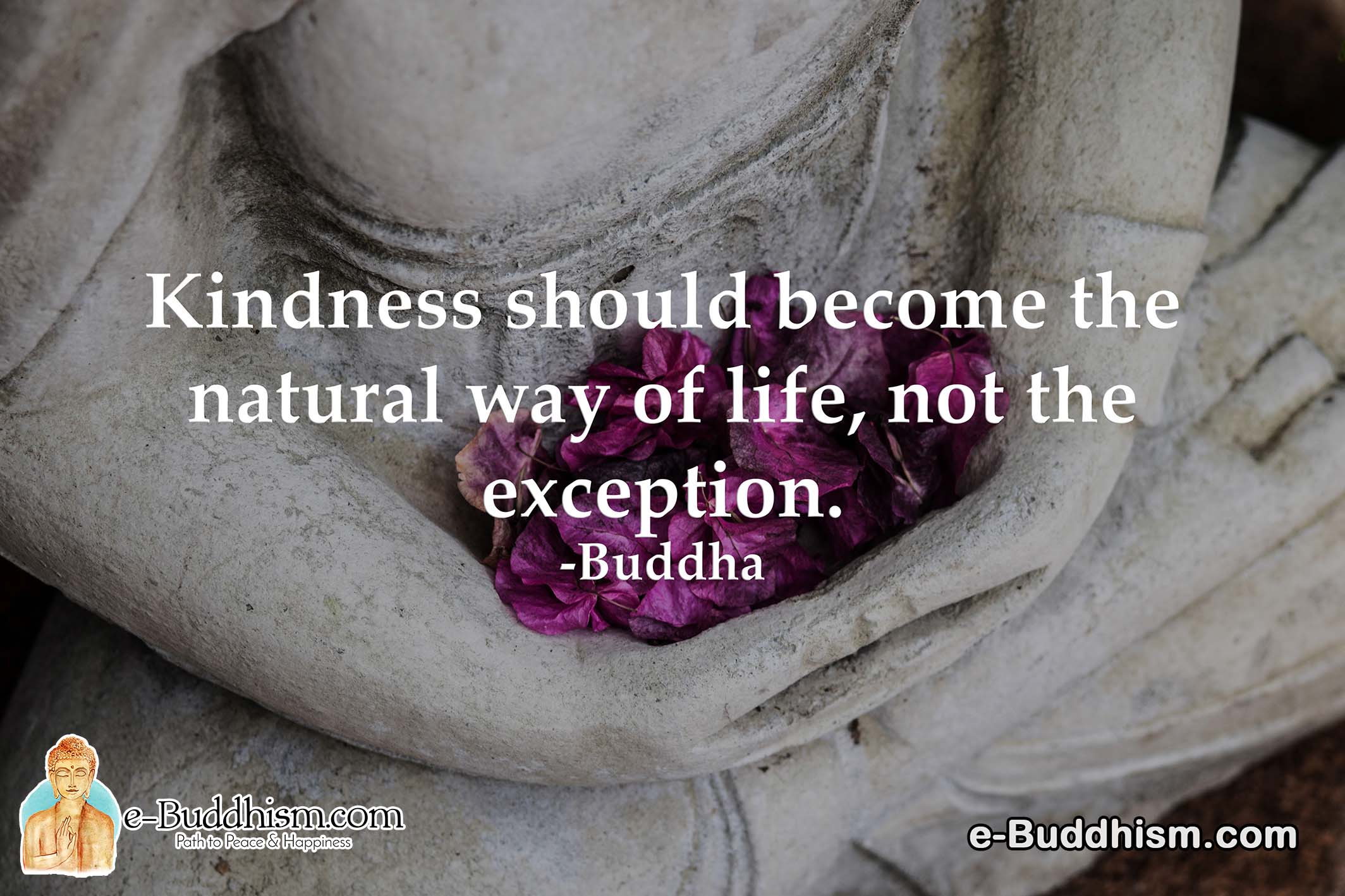 Kindness should become the natural way of life, not the exception. -Buddha