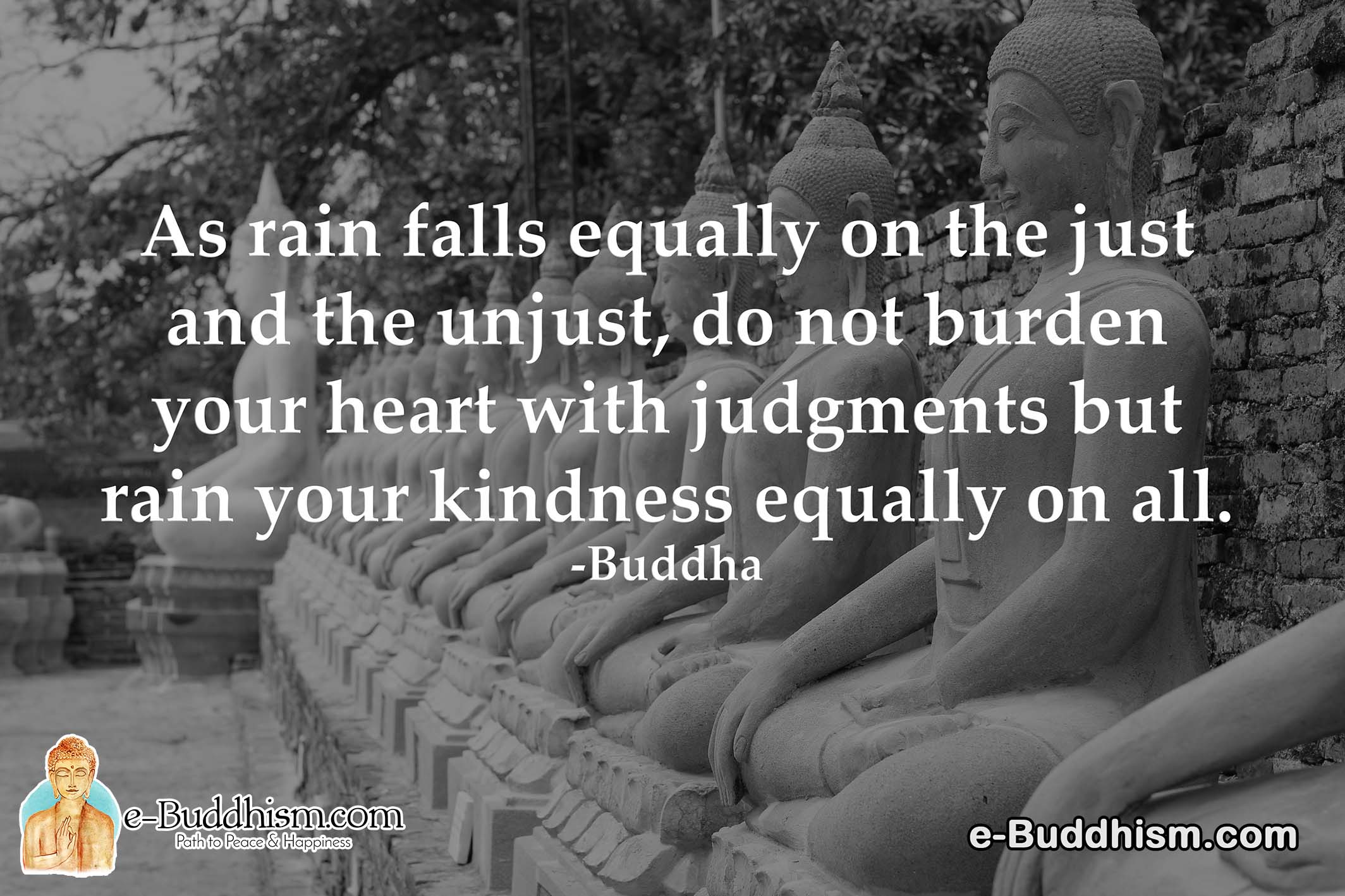 As rain falls equally on the just and the unjust, do not burden your heart with judgements but rain your kindness equally on all. -Buddha