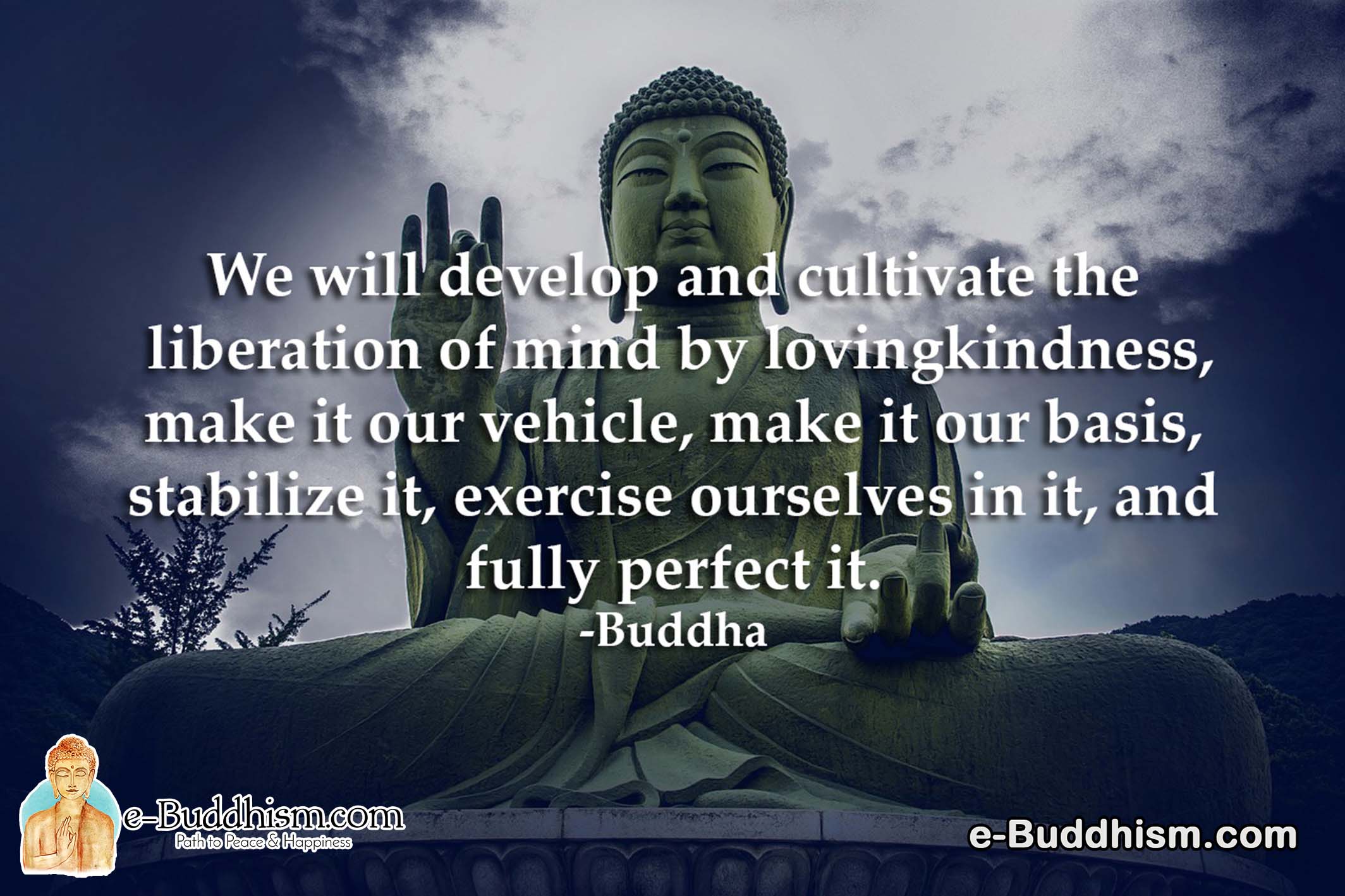 We will develop and cultivate the liberation of mind by loving-kindness, making it our vehicle, making it our basis, stabilising it, exercising ourselves in it, and fully perfecting it. -Buddha