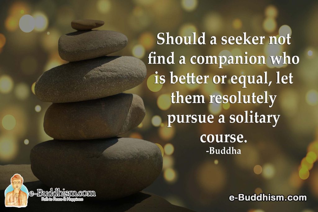 Should a seeker not find a companion who is better or equal, let them resolutely pursue a solitary course. -Buddha