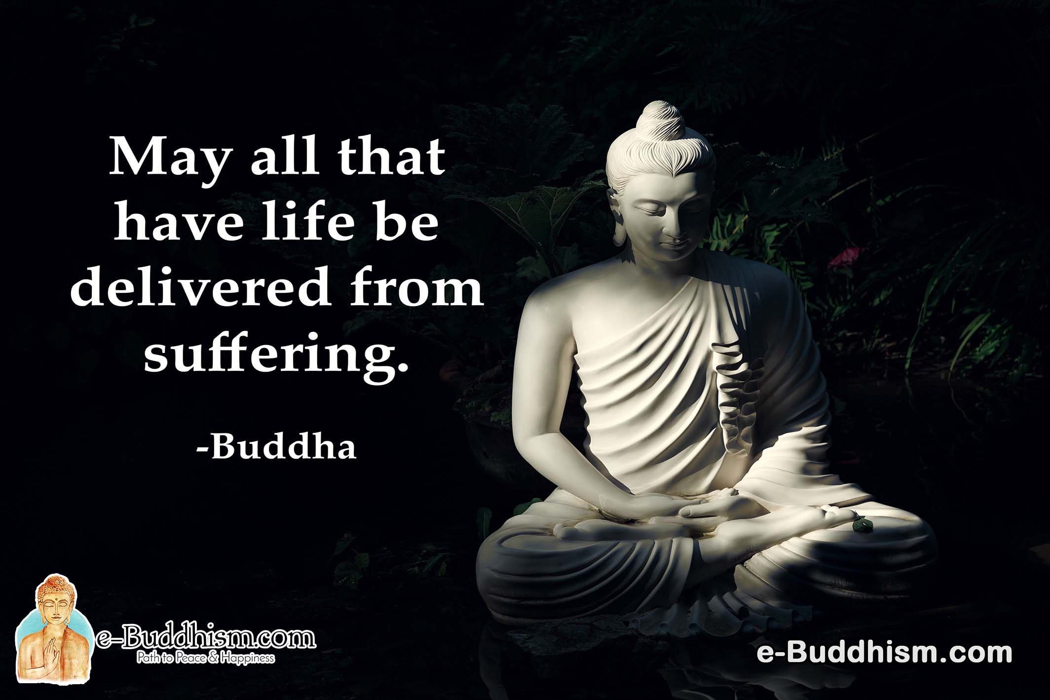 May all that have life be delivered from suffering. -Buddha