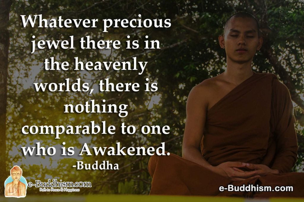 Whatever precious jewel there is in the heavenly worlds, there is nothing comparable to one who is awakened. -Buddha