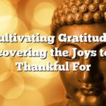 Cultivating Gratitude: Discovering the Joys to Be Thankful For