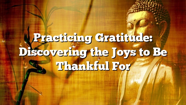 Practicing Gratitude: Discovering the Joys to Be Thankful For