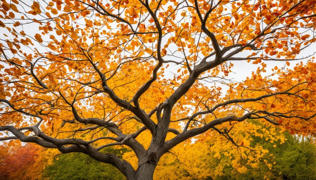 change and uncertainty change and uncertainty